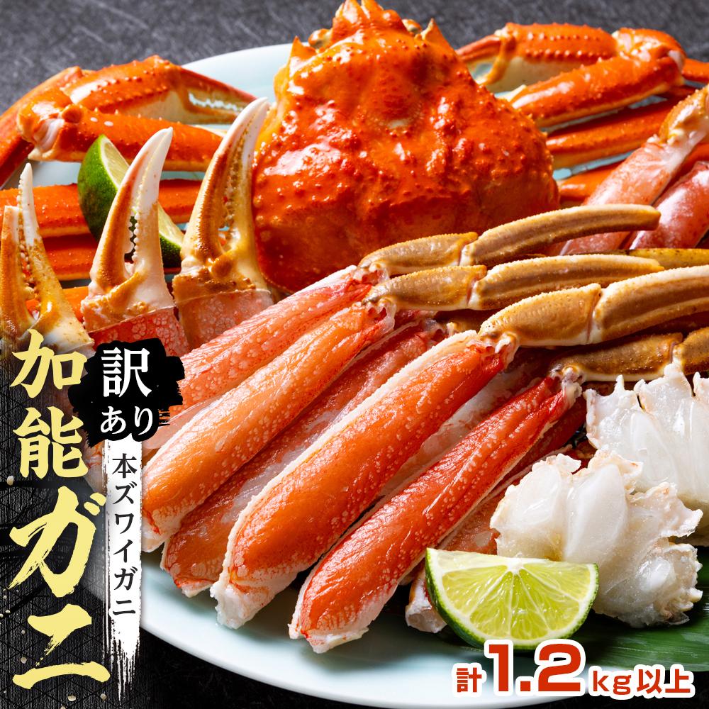 【ふるさと納税】【訳あり】金沢港より直送!ボイル加能ガニ 2杯セット | 石川 金沢 加賀百万石 加賀 百万石 北陸 北陸復興 北陸支援