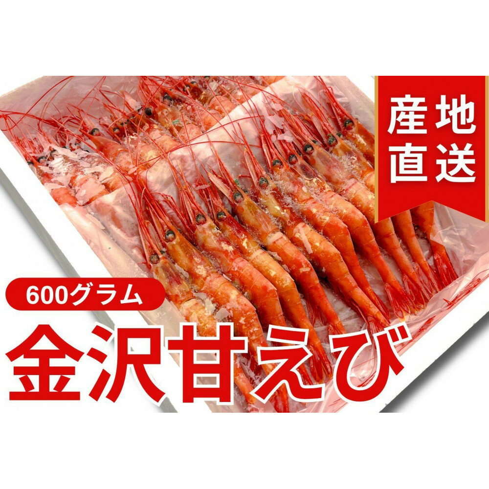 【ふるさと納税】金沢 甘えび 600g (冷凍) | エビ 魚介類 水産 食品 石川 金沢 加賀百万石 加賀 百万石 北陸 北陸復興 北陸支援