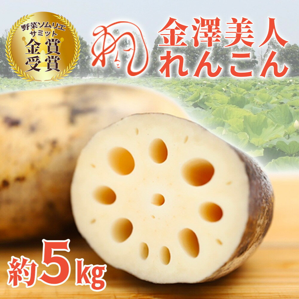 【ふるさと納税】レンコン 5kg 金澤美人れんこん 蓮根 野菜 根菜 | れんこん 野菜 根菜 蓮根 金沢市 やさい 食品 人気 おすすめ 送料無料 石川 金沢...