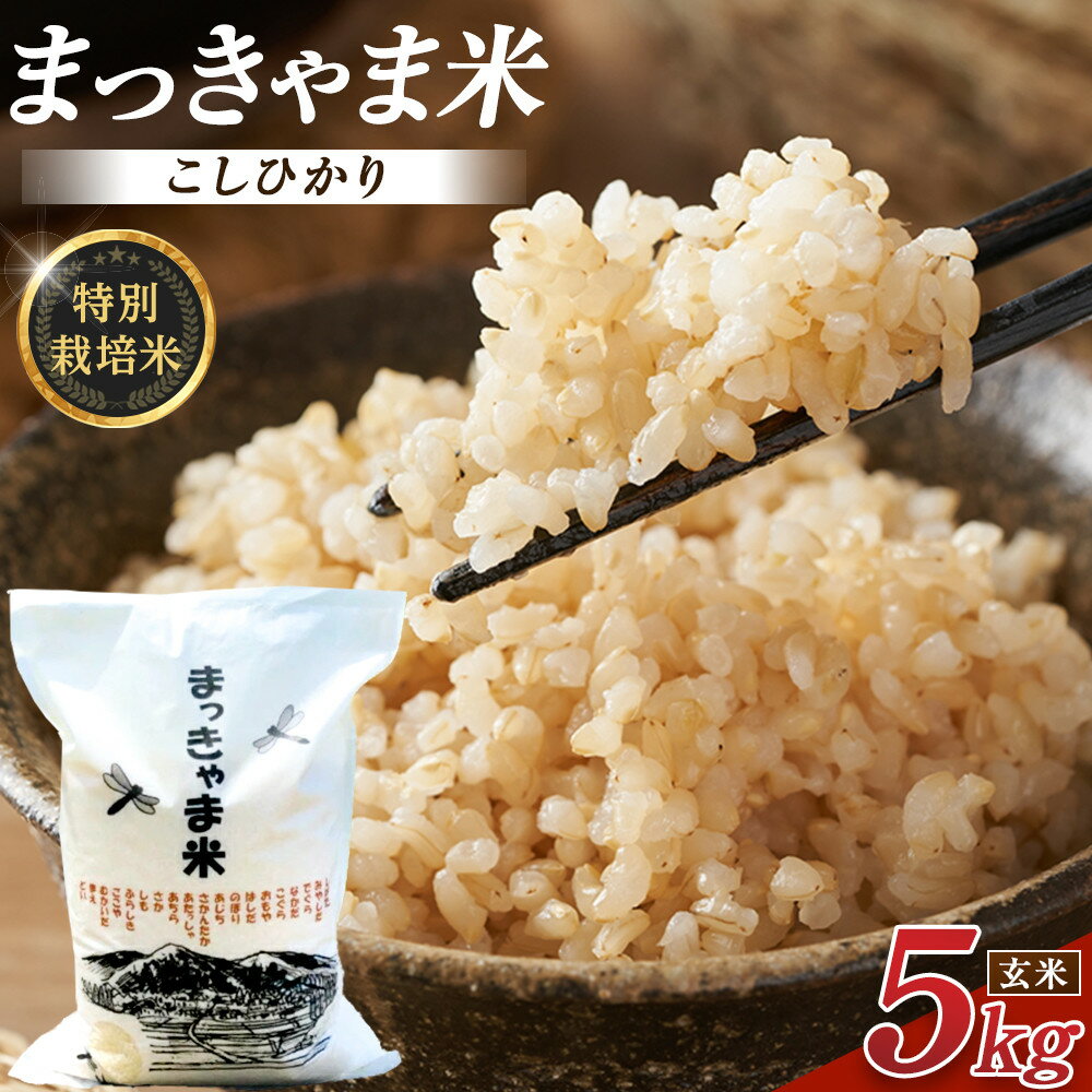 令和7年度産[特別栽培米] 石川県産こしひかり 棚田米[玄米] 5kg まっきゃま米 | ブランド米 自然栽培 食品 健康 お米 おにぎり 美味しい お取り寄せ 通販 人気 おすすめ 送料無料 金沢 加賀百万石 加賀 百万石 北陸 北陸復興 北陸支援