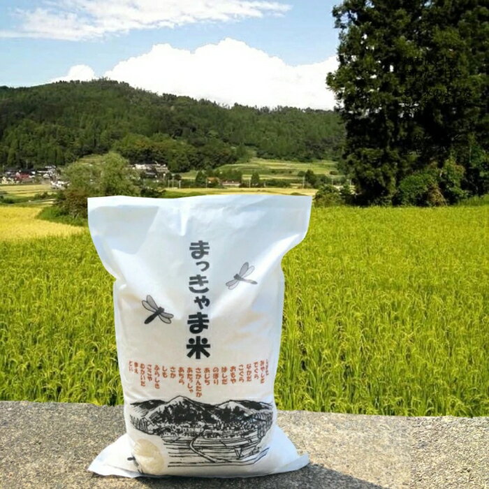 【ふるさと納税】白米 令和4年度産 特別栽培米 石川県産 こしひかり 5kg | 米 お米 こめ 小粒 不揃い ブランド米 ご飯 ごはん おにぎり おむすび お弁当 お取り寄せ グルメ 人気 おすすめ 棚田米 まっきゃま米 石川県 金沢市