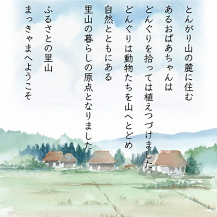 【ふるさと納税】定期便 全10回 毎月連続 玄米 特別栽培米 石川県産 こしひかり 5kg | 米 お米 こめ 小粒 不揃い ブランド米 ご飯 ごはん おにぎり おむすび お弁当 お取り寄せ グルメ 人気 おすすめ 棚田米 まっきゃま米 石川県 金沢市