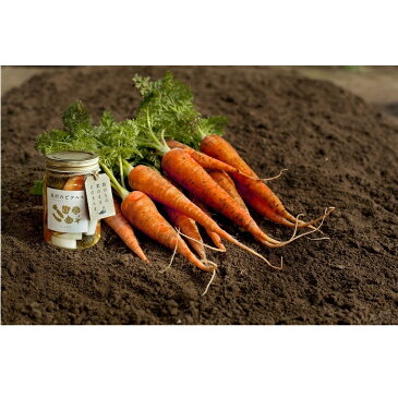 【ふるさと納税】【金沢のピクルス】おまかせギフト 6種入 | 石川県 金沢市 金沢 土産 ご当地 ふるさと 納税 支援 お土産 ピクルス ギフト お取り寄せ お取り寄せグルメ ご当地グルメ 取り寄せ グルメ 食べ物 食品 プレゼント 石川県金沢市 石川 おすすめ