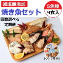 【ふるさと納税】【能登半島地震復興支援】【定期便】レンジで簡単 焼き魚セット\選べる配送回数/|焼魚 魚介類 魚貝類 海鮮 シーフード 水産加工 鰤 ぶり 河豚 ふぐ 鯖 さば 鮭 さけ サーモン しゃけ 詰め合わせ セット 夕飯 ご飯 簡単調理 簡単ご飯 石川県 七尾市 能登