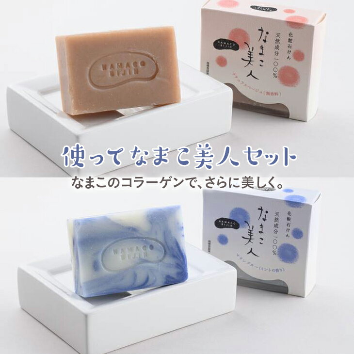 【ふるさと納税】使ってなまこ美人セット※着日指定不可のサムネイル