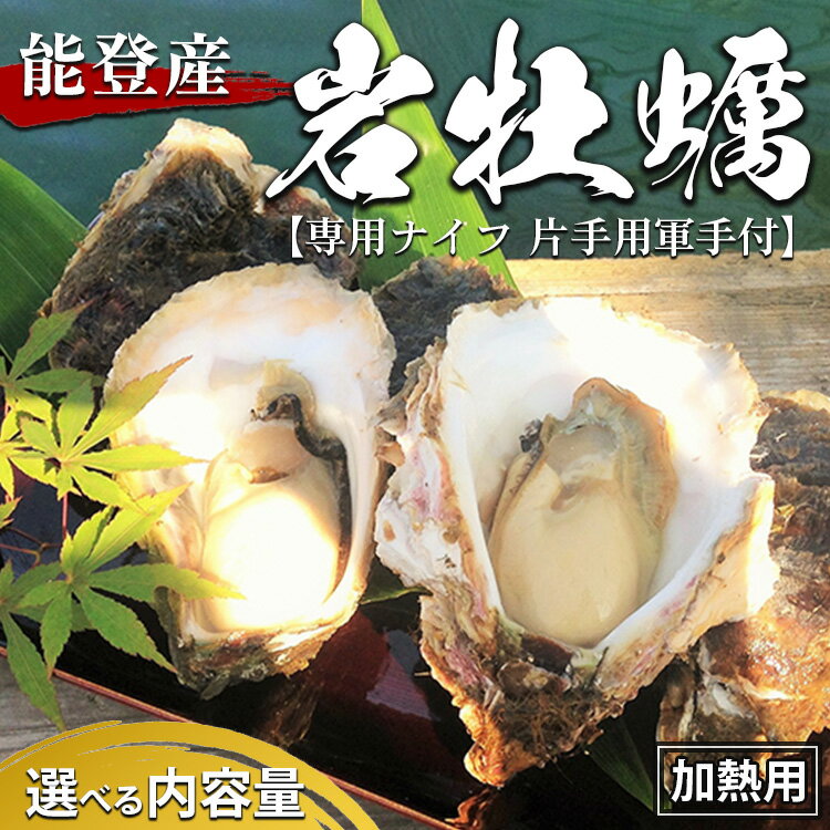 [能登半島地震復興支援]＼選べる内容量/能登産 岩牡蠣 専用ナイフ 片手用軍手付 加熱用|冷蔵配送 石川県 七尾市 能登 ※2025年6月中旬〜2025年8月下旬頃に順次発送予定 ※離島への配送不可