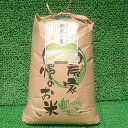 【ふるさと納税】平成29年産 七尾のコシヒカリ 10kg(特別栽培米)