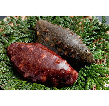 【ふるさと納税】能登なまこ贅沢セット 赤なまこ酢120g×2袋、青なまこ酢120g×2袋 このわたいくら醤油漬け100g×1本※5月中旬より順次発送