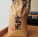 【ふるさと納税】「ふるさとの味」七尾産コシヒカリ玄米10kg...