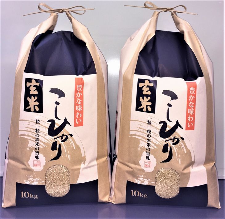 【ふるさと納税】石川県能登産こしひかり玄米20kg（10kg×2袋）/日本初！世界農業遺産認定「能登の里山里海」の恵み ※10月より順次発送