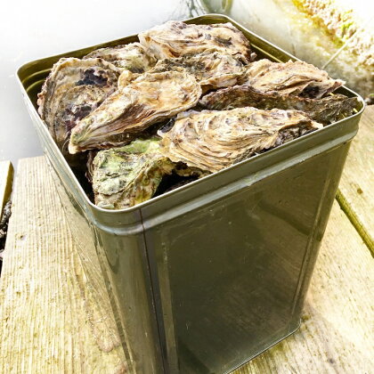 能登牡蠣 殻付牡蠣 一斗缶/約10kg(約80〜100個) 専用ナイフ 片手用軍手付 /世界農業遺産「能登の里山里海」※必ず加熱して食べてください