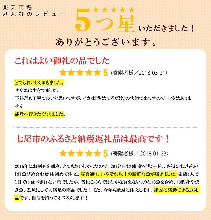 【ふるさと納税】魚介類 鮮魚 / 能登の朝どれ「いきいき七尾魚」鮮魚詰め合わせ（2〜3人前）　※北海道・青森・沖縄・離島及び九州（福岡県を除く）配送に2日以上かかる地域へのお届け不可