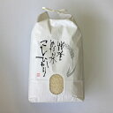 米 5kg/能登コシヒカリ（精米5kg）こしひかり※令和5年10月中旬より順次発送予定