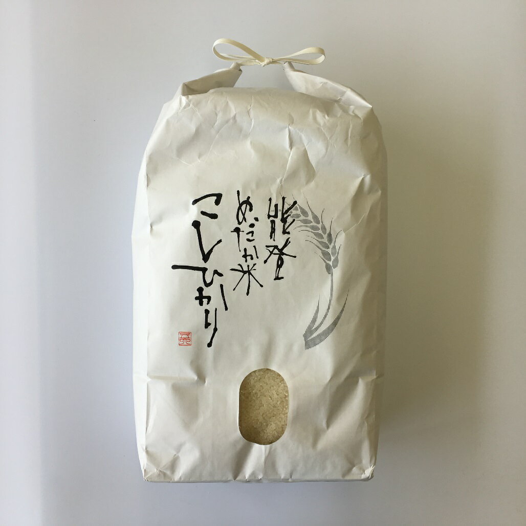 【ふるさと納税】米 10kg/能登コシヒカリ（精米10kg）