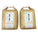 【ふるさと納税】【令和元年産】能登のコシヒカリ　飯川のお米　6kg（精米3kg×2袋）特別栽培米　※10 月15日〜3月31日に発送予定