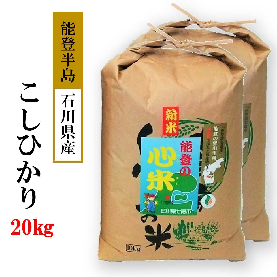 [能登半島地震復興支援]米 20kg / こしひかり 能登の心米(精米20Kg)10kg×2袋 コシヒカリ 米 ※2024年10月中旬頃より順次発送予定 石川県 七尾市