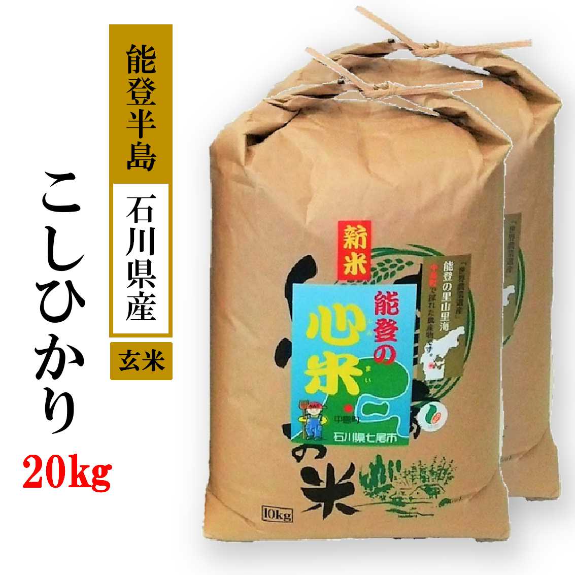 [能登半島地震復興支援]米 20kg / こしひかり 能登の心米(玄米20kg)/10kg×2袋 石川県 七尾市 ※2024年10月中旬頃より順次発送予定