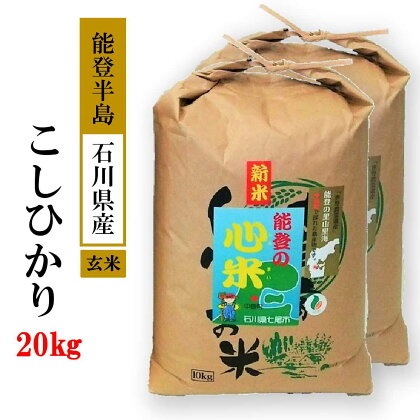 【能登半島地震復興支援】米 20kg / こしひかり 能登の心米（玄米20kg）/10kg×2袋 石川県 七尾市　※2024年10月中旬頃より順次発送予定