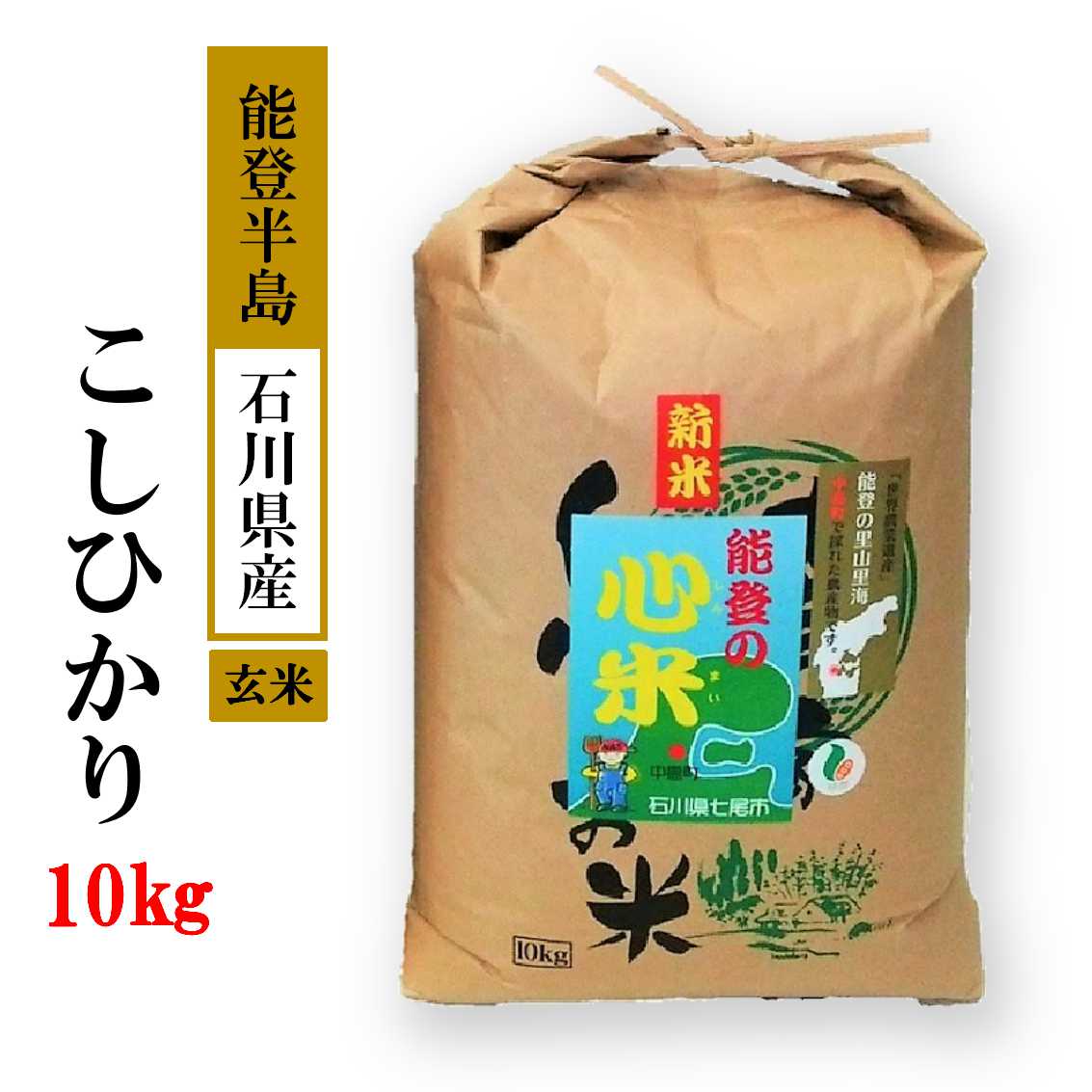 【ふるさと納税】【能登半島地震復興支援】米 玄米 10kg 
