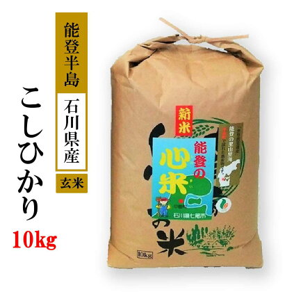 【能登半島地震復興支援】米 玄米 10kg / こしひかり 能登の心米（玄米10kg）/10kg×1袋 石川県 七尾市　※2024年10月中旬頃より順次発送予定