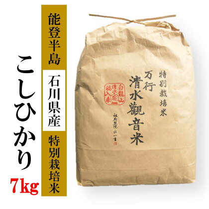 【能登半島地震復興支援】【発送時期が選べる】 清水観音米こしひかり （特別栽培米7kg）精米 特別栽培米指定 石川県 七尾市 能登