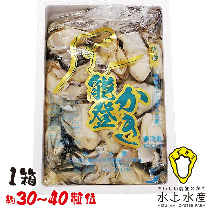 【ふるさと納税】【能登半島地震復興支援】【発送時期が選べる】魚介類 牡蠣 /水上水産の能登のかき　むき身　約800g～900g入（30～40粒位）牡蠣 養殖 冷蔵配送 不在日対応可能　貝※離島への配送不可 石川県 七尾市 能登のサムネイル