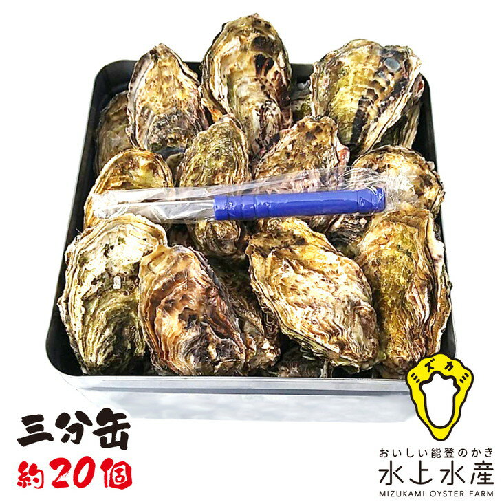 【ふるさと納税】【発送時期が選べる】水上水産の能登のかき　三分缶ガンガン焼き（約20個・ナイフ付）※着日指定不可※離島への配送不可　石川県　七尾市　能登のサムネイル