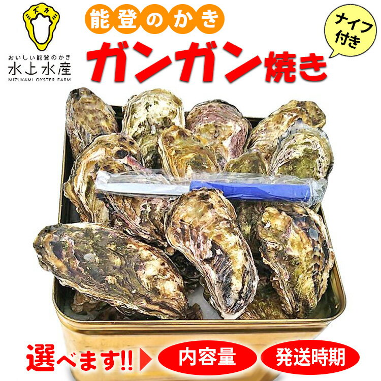 【ふるさと納税】【能登半島地震復興支援】【発送時期が選べる】水上水産の能登のかき　半缶ガンガン焼き（約35～40個・ナイフ付）※着日指定不可※離島への配送不可 石川県 七尾市 能登のサムネイル