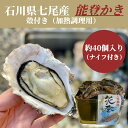 【ふるさと納税】石川県七尾産 能登かき 殻付き 半缶(約40個) ※北海道・沖縄・離島への配送不可