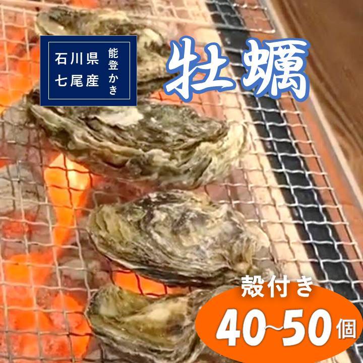 【ふるさと納税】石川県七尾産　能登かき　殻付き　半缶（40～50個） 加熱調理用※着日指定不可※離島への配送不可 石川県 七尾市 能登