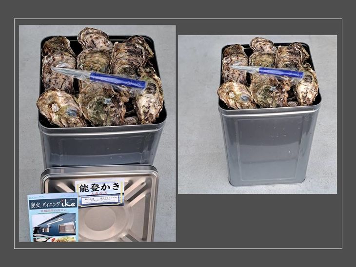 【ふるさと納税】【能登半島地震復興支援】石川県七尾産 能登かき 殻付き 1斗缶（80～100個） 加熱調理用 ※離島への配送不可 ｜牡蠣 国産 カキ かき むき身 海鮮 人気 おすすめ カキフライ 魚介 簡単調理 石川県 七尾市 能登