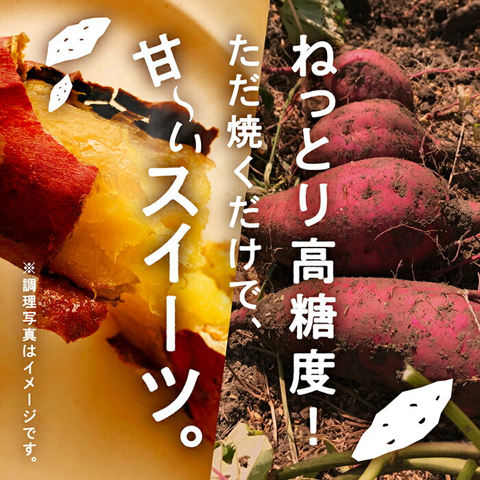 【ふるさと納税】 ねっとり甘〜いおいもさん ( 紅はるか ) 5kg 5キロ さつまいも サツマイモ 薩摩芋 さつま芋 紅はるか 芋 焼き芋 甘い 人気 ランキング おすすめ お中元 お歳暮 ギフト 小松市 こまつ 石川県 ふるさと 故郷 納税 015027【家族野菜tsugutsugu】