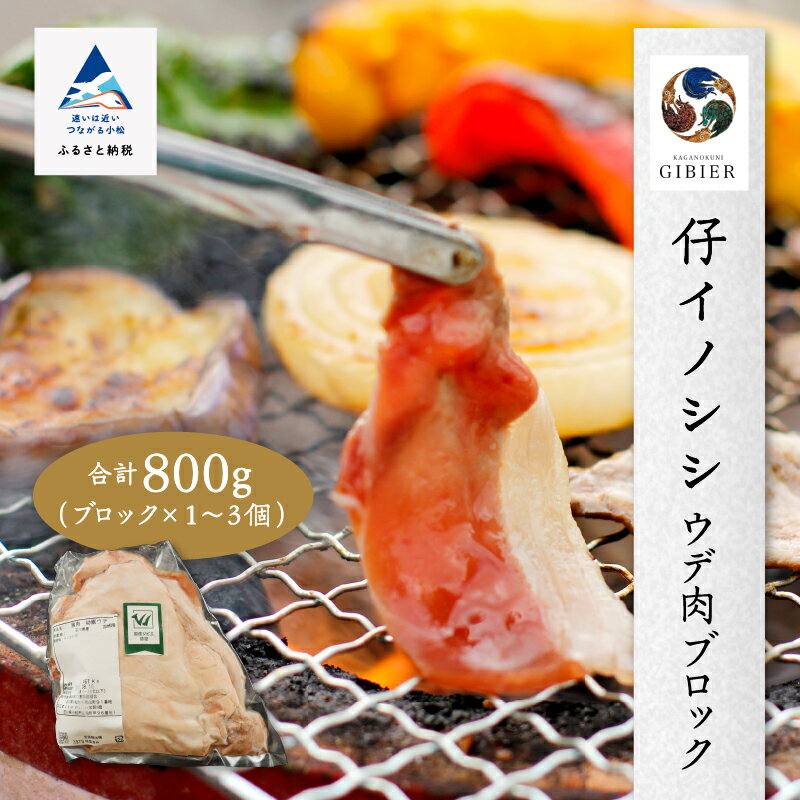 【ふるさと納税】 仔イノシシ ウデ肉 ブロック 800g い