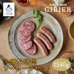 【ふるさと納税】 冷燻製猪肉ソーセージセット グルメ お取り寄せ 人気 ランキング おすすめ お中元 お歳暮 ギフト 小松市 こまつ 石川県 ふるさと 故郷 納税 016022【ジビエアトリエ加賀の國】