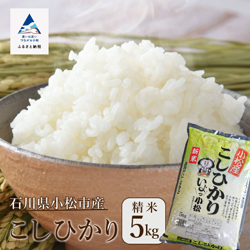 令和5年産 小松産こしひかり精米5kg 米 コメ お米 県産米 国産米 5キロ 5KG 5 グルメ お取り寄せ 人気 ランキング おすすめ お中元 お歳暮 ギフト 小松市 こまつ 石川県 ふるさと 故郷 納税 007031[JA小松市]