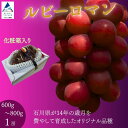 【ふるさと納税】 ルビーロマン ぶどう 1房 600g~800g 贈答品 化粧箱入り 石川県 小松市【JA小松市】