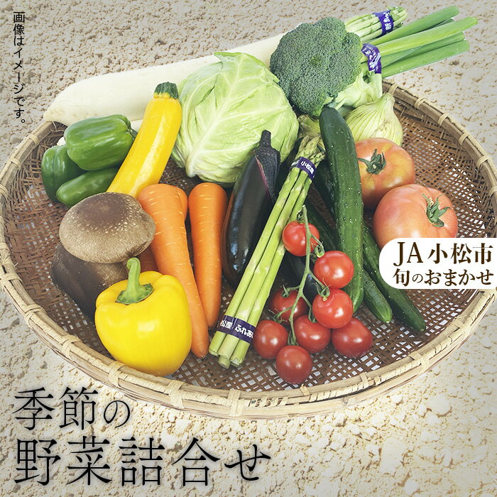 【ふるさと納税】 JA小松市 季節の野菜詰合せ 旬の野菜 旬