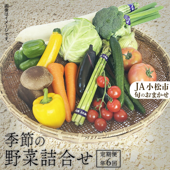 【ふるさと納税】《JA小松市 定期便6ヶ月》季節の野菜詰合せ 季節の野菜 定期便 定期 6回 旬 詰め合わせ スムージー 野菜 直送 おまかせ 人気 ランキング おすすめ お中元 お歳暮 ギフト 小松市 こまつ 石川県 ふるさと 故郷 納税 054003【JA小松市】