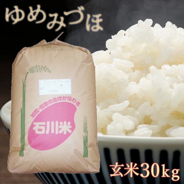 【ふるさと納税】令和5年産 小松産ゆめみづほ 玄米 30kg もちもち 甘い 健康 米 コメ お米 県産米 国産米 30キロ 30KG 30 グルメ お取り寄せ 人気 ランキング おすすめ お中元 お歳暮 ギフト 小松市 こまつ 石川県 ふるさと 故郷 納税 028005【JA小松市】