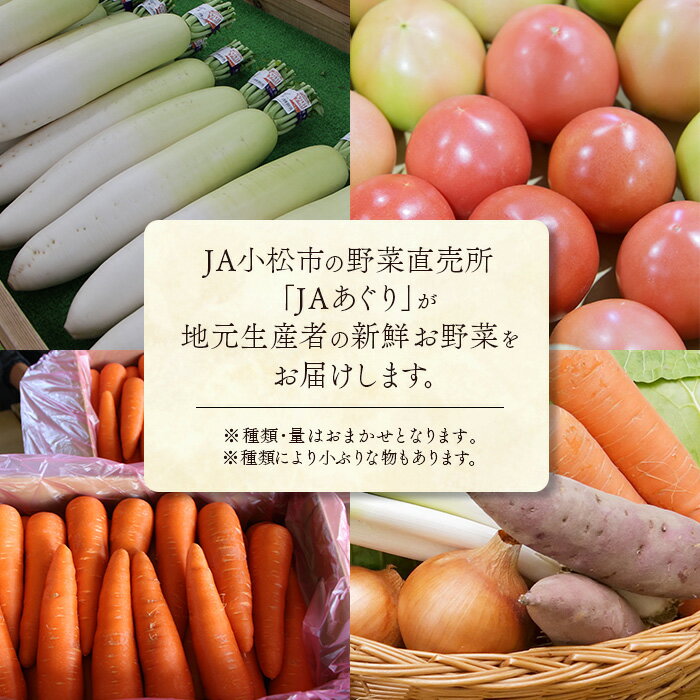 【ふるさと納税】 JA小松市 季節の野菜詰合せ 旬の野菜 旬 季節の野菜 詰合せ 旬の野菜 旬 詰め合わせ スムージー 野菜 直送 おまかせ お楽しみ 人気 ランキング おすすめ お中元 お歳暮 ギフト 小松市 こまつ 石川県 ふるさと 故郷 納税 009044【JA小松市】