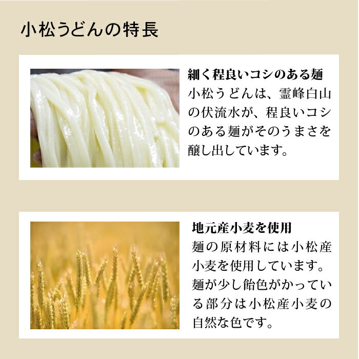 【ふるさと納税】 小松うどん ( 生麺 温用つゆ付 8人前 ) うどん 麺 つゆ付 セット 詰め合わせ グルメ お取り寄せ 人気 ランキング おすすめ お中元 お歳暮 ギフト 小松市 こまつ 石川県 ふるさと 故郷 納税 007021【中石食品工業】