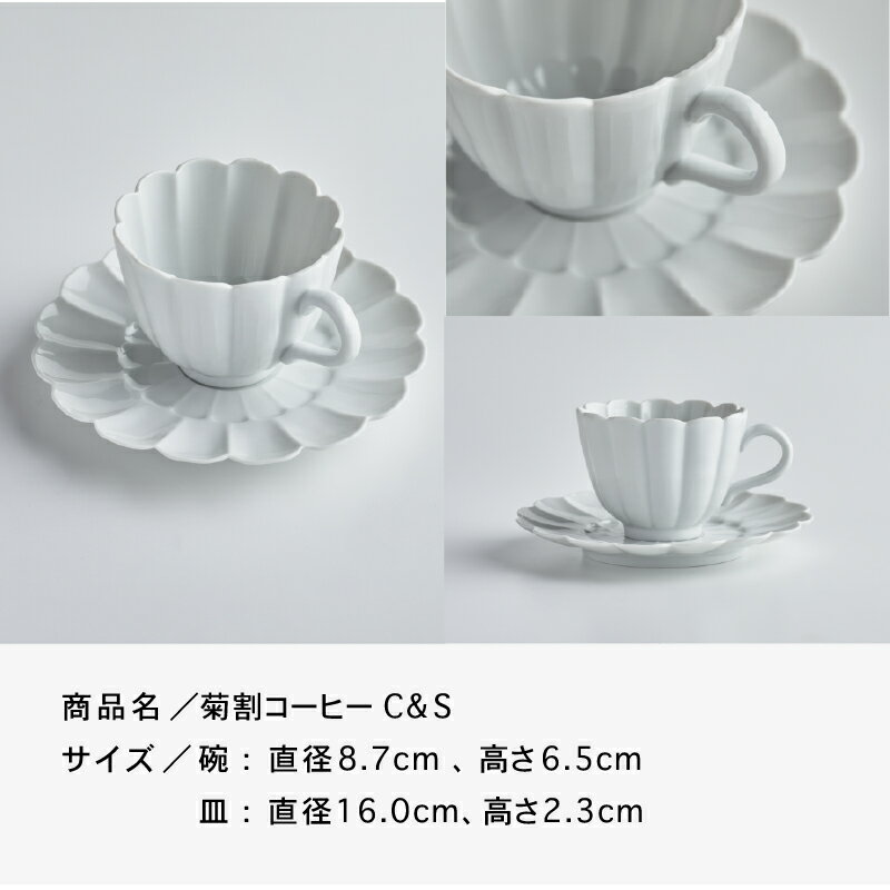 【ふるさと納税】磁器白九谷「型打 - 菊割コーヒーカップ＆ソーサー」 九谷焼 焼き物 工芸 工芸品 伝統 工芸 人気 ランキング おすすめ お中元 お歳暮 ギフト 小松市 こまつ 石川県 ふるさと 故郷 納税 040034【九谷セラミック・ラボラトリー】