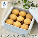 23位! 口コミ数「0件」評価「0」 レーズンサンド缶 クッキー 9個 ホワイトチョコ メレンゲ菓子 添加物不使用 焼き菓子 こだわり 詰合せ グルメ お取り寄せ 人気 ランキ･･･ 