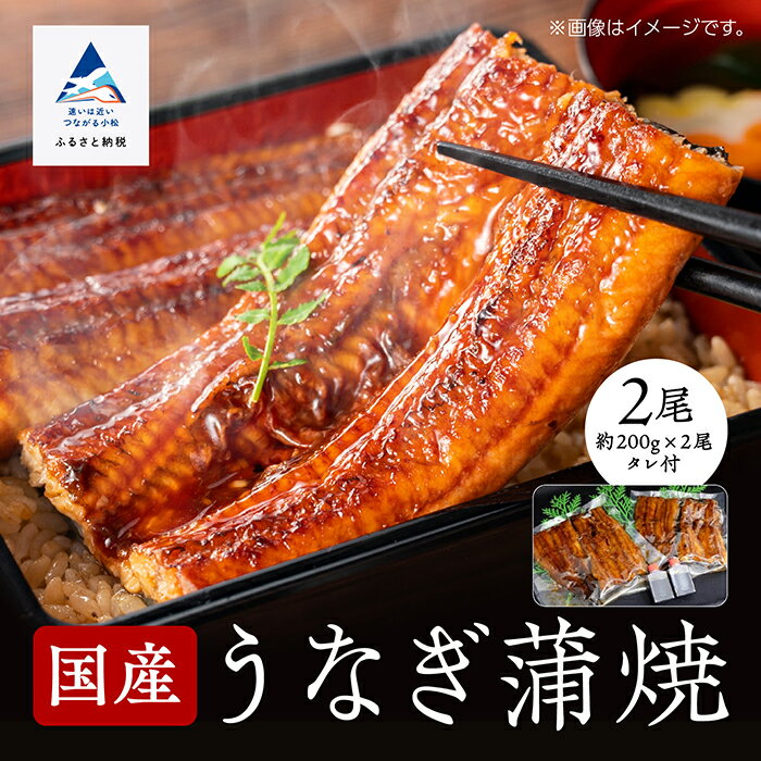 国産うなぎ蒲焼2尾 うなぎ 国産 蒲焼き 土用 丑の日 おかず ごはんのお供 グルメ お取り寄せ 人気 ランキング おすすめ お中元 お歳暮 ギフト 小松市 こまつ 石川県 ふるさと 故郷 納税 020006[竹本商店]