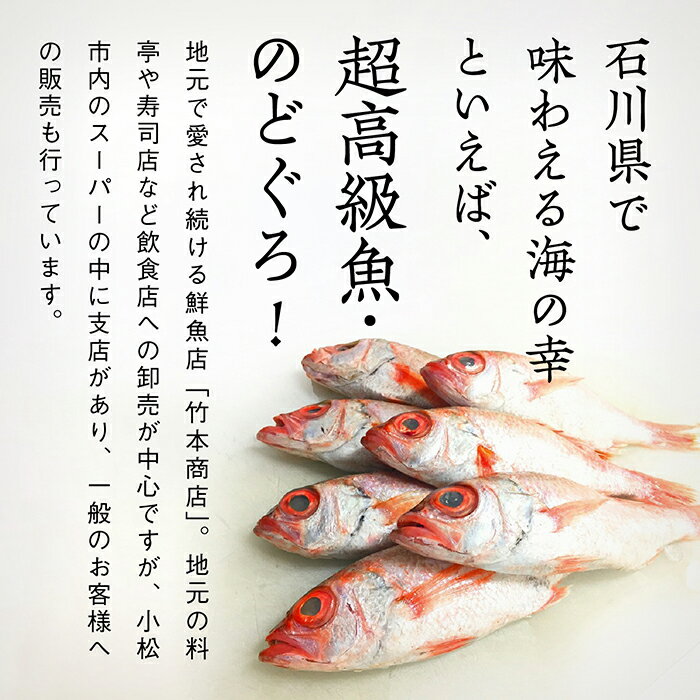 【ふるさと納税】 《日本海の高級魚》のど黒一夜干し詰合せ 120g×5尾 のどぐろ のど黒 干物 ひもの おかず ごはんのお供 グルメ お取り寄せ 人気 ランキング おすすめ お中元 お歳暮 ギフト 小松市 こまつ 石川県 ふるさと 故郷 納税 030002【竹本商店】