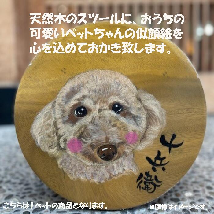 【ふるさと納税】 ペット似顔絵スツール（1ペット） 似顔絵 愛犬 猫 いぬ ねこ ドック いす 工芸 天然木 人気 ランキング おすすめ お中元 お歳暮 ギフト 小松市 こまつ 石川県 ふるさと 故郷 納税 033012【ハートアート工房神田】