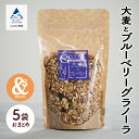 【ふるさと納税】 大麦とブルーベリーグラノーラ 5袋おまとめ セット グルメ お取り寄せ 健康 ダイエット お中元 お歳暮 ギフト 小松市 石川県 009057【あんずの木】