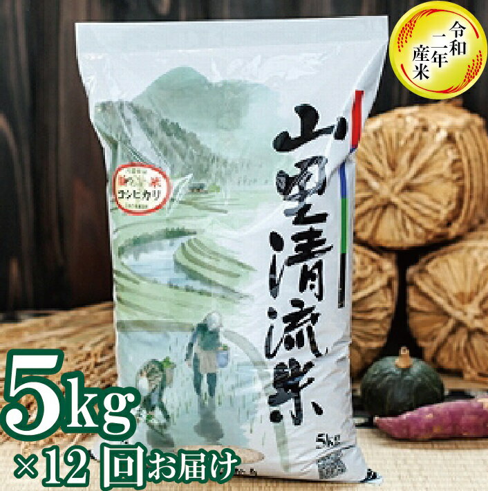 50 Off ふるさと納税 定期便 山里清流米コシヒカリ 5kg 12回 毎月 レビューで送料無料 Www Mandprojetos Com Br