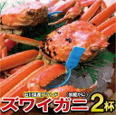 【ふるさと納税】【北陸の冬の贅沢】石川産 加能ガニ(2杯)