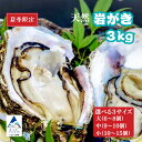 【ふるさと納税】 安宅産 天然 岩がき 3kg 選べる 3サイズ 小 (10〜15個) / 中 (9〜10個) / 大 (6〜8個) カキ かき 天然 岩ガキ ...